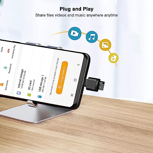 Leizhan MiniReader-BK USB Type C Card Reader, 5000 Mbps, MicroSD Compatibility