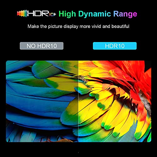 IDEALROYAL 96b6a0a3-bc7e-4979-91b7-b3c484472a72 8K TV Box