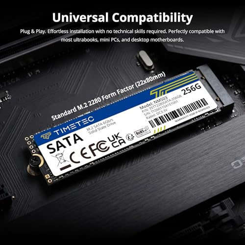 Timetec 256GB Solid State Drive SATA III 6Gb/s M.2 2280 JM600 Internal Storage