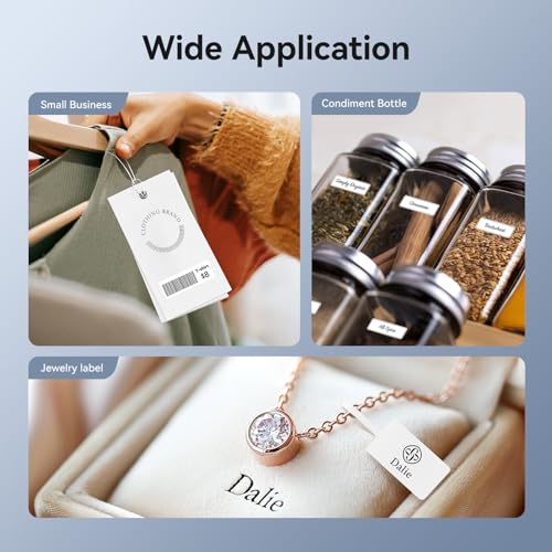 NIIMBOT D11_H Portable Thermal Monochrome Label Maker 300DPI Bluetooth