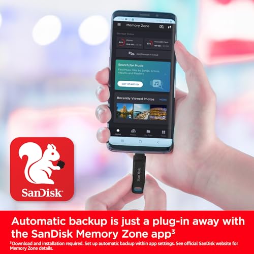 SanDisk 256GB USB Type-C Dual Drive SDDDC3-256G-GAM46