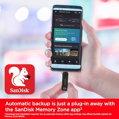 SanDisk 256GB USB Type-C Dual Drive SDDDC3-256G-GAM46