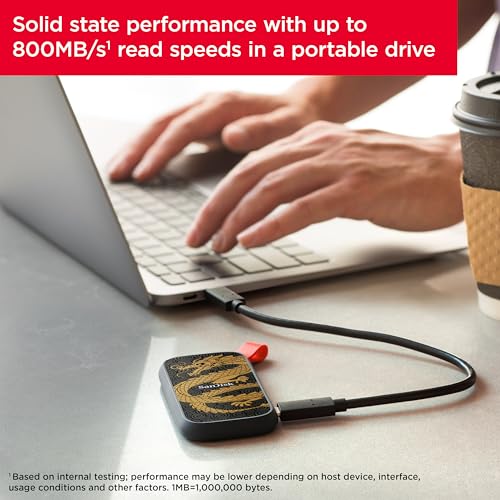 SanDisk 1TB Portable SSD SDSSDE30-1T00-GD25 External Solid State Drive USB-C 800MB/s