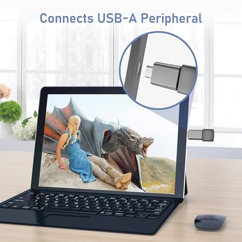 Basesailor USB-C to USB-A Adapter Pack 3R USBC Male to A Female 3.0