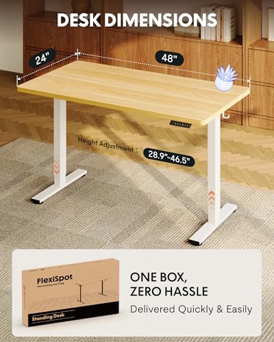 FLEXISPOT 48x24 156E Seamless Electric Height Adjustable Standing Desk