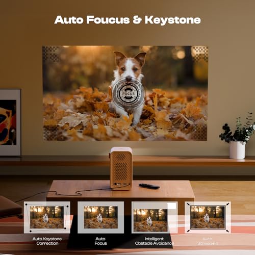 Caydo P1 Portable Projector P-004W 1280x720 4K Maximum 100" Display LED