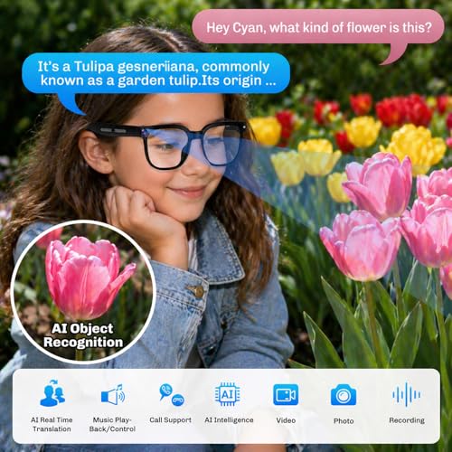 Plunthorn 1 Inch B0GJ5LD7QL 3840 x 2160 No Display Smart Glasses
