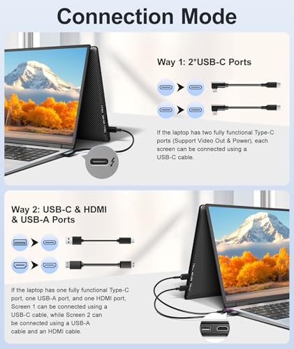 Wixzet 14 Inches T2 PRO 1920x1080 60Hz IPS LCD Monitor