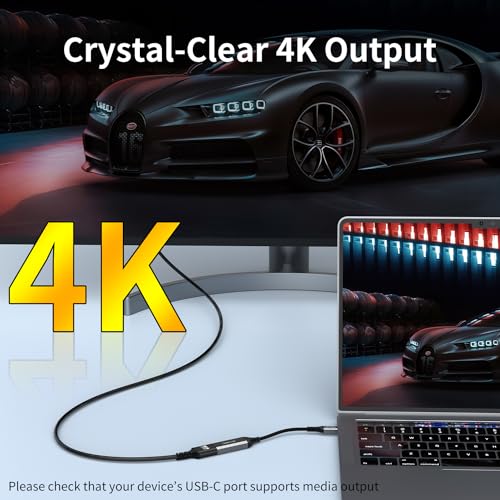 QianLink USB Type C to HDMI Adapter e85ff973-3be8-481a-9fb3-925a3af2a983