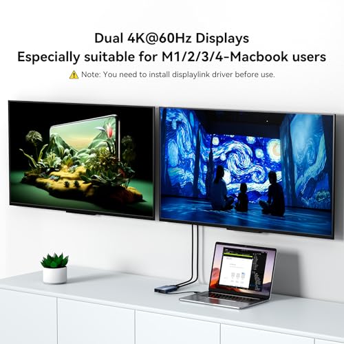 ACASIS USB C Dual HDMI Display Adapter, 4K@60Hz, 2 HDMI Ports, 3 USB-A Ports, 100W PD Charging, Model DS0602