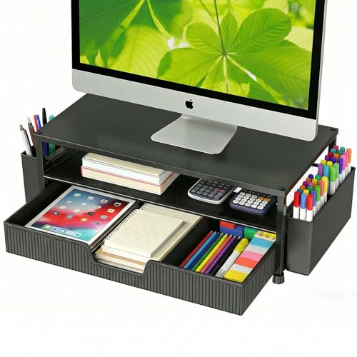 ECOLOVI 2-Tier Monitor Stand EC-MS1 Ergonomic Black
