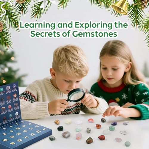 VVSBPL 24 Day Advent Calendar ACG001 Christmas Countdown Educational Kit