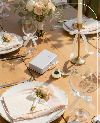 NIIMBOT N1 Label Maker 203 DPI Color Printing Portable Bluetooth
