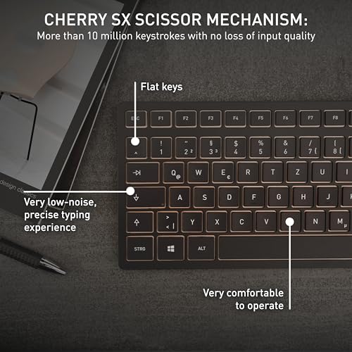 CHERRY Wireless Keyboard and Mouse Set JD-9100US-2 QWERTY Black/Bronze