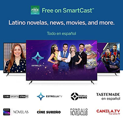 VIZIO 24 D24F-J09 1080p 60Hz LCD TV