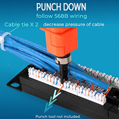 Rapink 12 Port Cat6 Patch Panel 10G Support Network Patch Panel UTP 10-Inch Wall Mount 1U