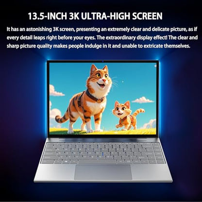 Morostron 13.5" LeadBook T15 Laptop, 3000x2000, Celeron N95