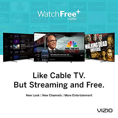 VIZIO 24 D24F-J09 1080p 60Hz LCD TV