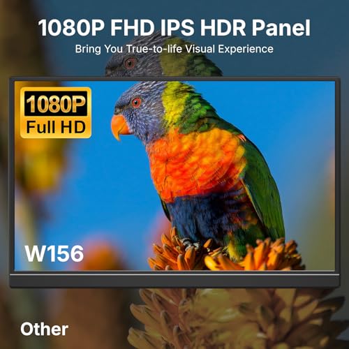 WGK 15.6 Inch W156F1 FHD 1080p 60Hz IPS Monitor