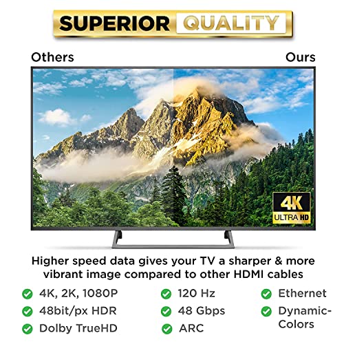 PowerBear 10 Feet Male-to-Male HDMI Cable 4K @ 60Hz CL3