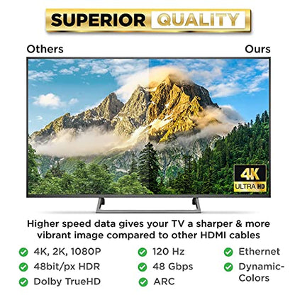 PowerBear 10 Feet Male-to-Male HDMI Cable 4K @ 60Hz CL3