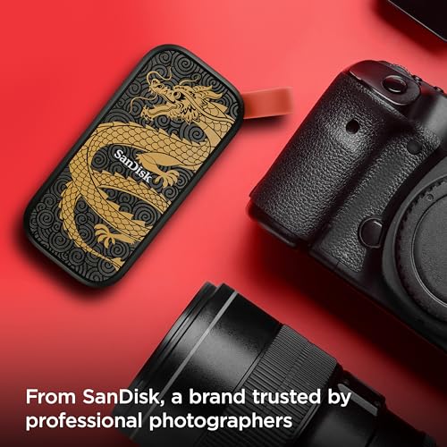SanDisk 1TB Portable SSD SDSSDE30-1T00-GD25 External Solid State Drive USB-C 800MB/s