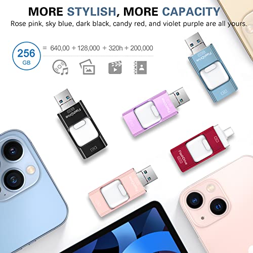 ZARMST 256GB B09H4MG31M USB 3.0 80MB/s 30MB/s Flash Drive