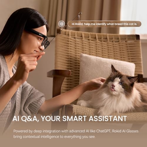 Rokid 13cm AI Glasses AI Glasses 12MP No Display Smart Glasses