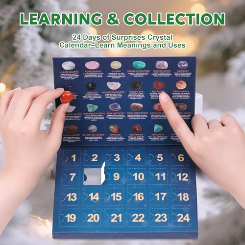 VVSBPL 24 Day Advent Calendar ACG001 Christmas Countdown Educational Kit