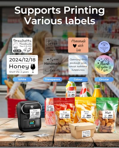 Phomemo 2" M110 203dpi Portable Thermal Label Maker