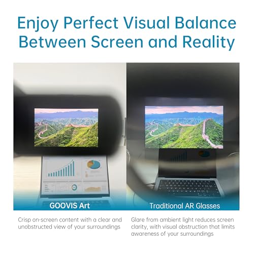 GOOVIS 110" A1D4 1920x1080 60Hz OLED Head-Mounted Display