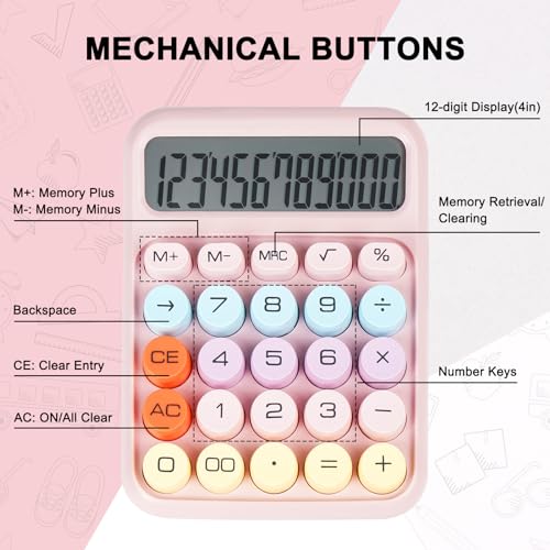 DANRONG 4 Inch CA07 12-Digit LCD Business Calculator