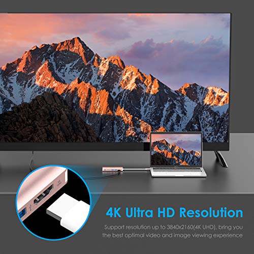 LENTION USB C Hub with 6 Ports, 4K HDMI, Dual USB 3.0, SD Card Reader, Type C Charging, Ethernet, Model CB-TP-C68-ROG-US-1