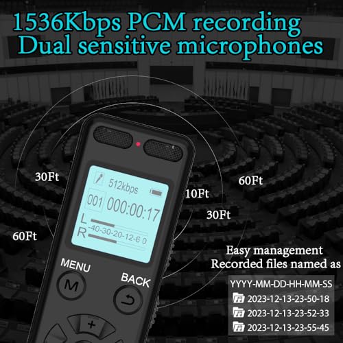 Aiworth 72GB Digital Voice Recorder Model E36 MP3 Audio Playback USB 2.0