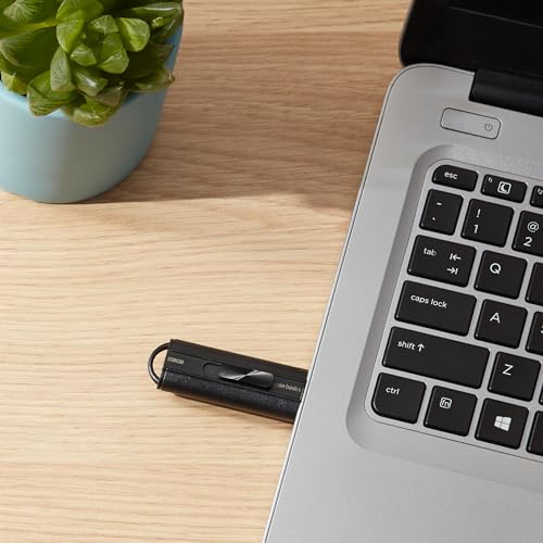Amazon Basics 256 GB USB 3.0 Flash Drive, Model LS21USB256G1, Read Speed 130MB/s, Write Speed 30MB/s, USB Type A