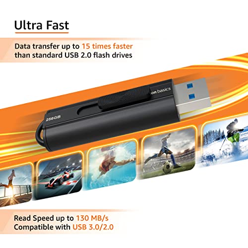 Amazon Basics 256 GB USB 3.0 Flash Drive, Model LS21USB256G1, Read Speed 130MB/s, Write Speed 30MB/s, USB Type A
