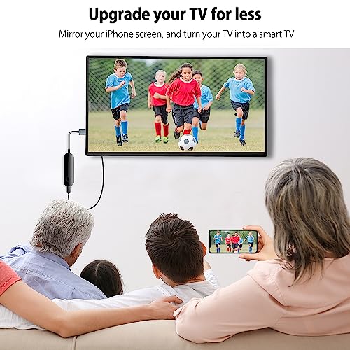 lulaven WF-001 HDMI Adapter with 1 Port, 1 Amps Current Rating, Compatible with Television and Projector