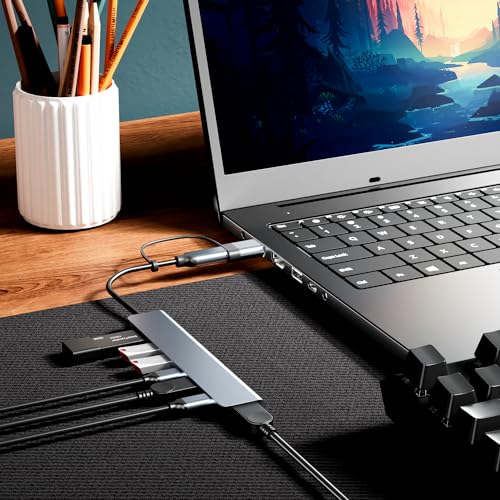 PANPEO 7-Port USB Hub USB 3.0 and USB 2.0 Compatibility