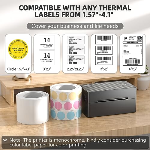 PEDOOLO 4x6 BY-482BT 203 DPI Monochrome Thermal Label Printer