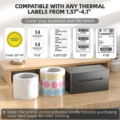 PEDOOLO 4x6 BY-482BT 203 DPI Monochrome Thermal Label Printer