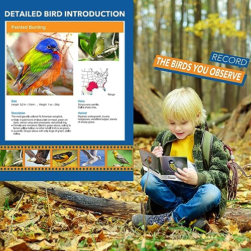 LET'S GO! 30mm Binoculars WJ12566 4x Fixed Focus Roof Prism for Kids