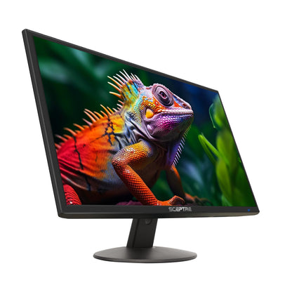Sceptre 24" E248W-19203R FHD 1080p 60Hz LED Monitor