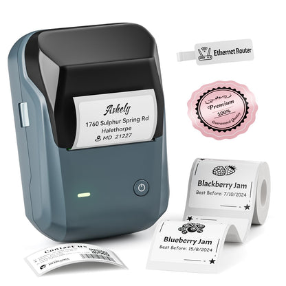 NIIMBOT B1 Portable Thermal Label Printer 203dpi Monochrome with Bluetooth Connectivity