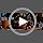 Phomemo D30 CA-D30-GN-A2-3SET Thermal Monochrome Printer 203 DPI