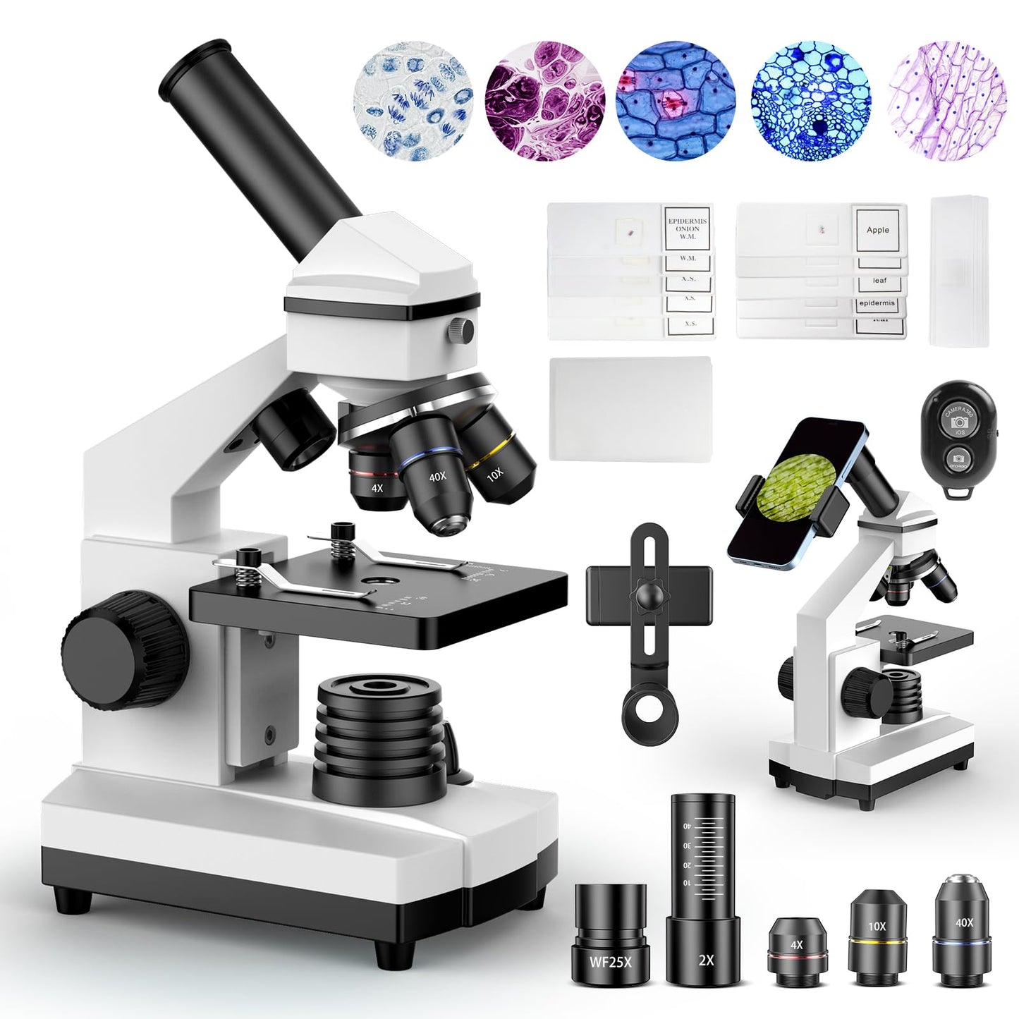 PalliPartners 5.71"L x 3.94"W x 9.84"H SWXWJ-1 2000x 240 Volts LED Compound Microscope