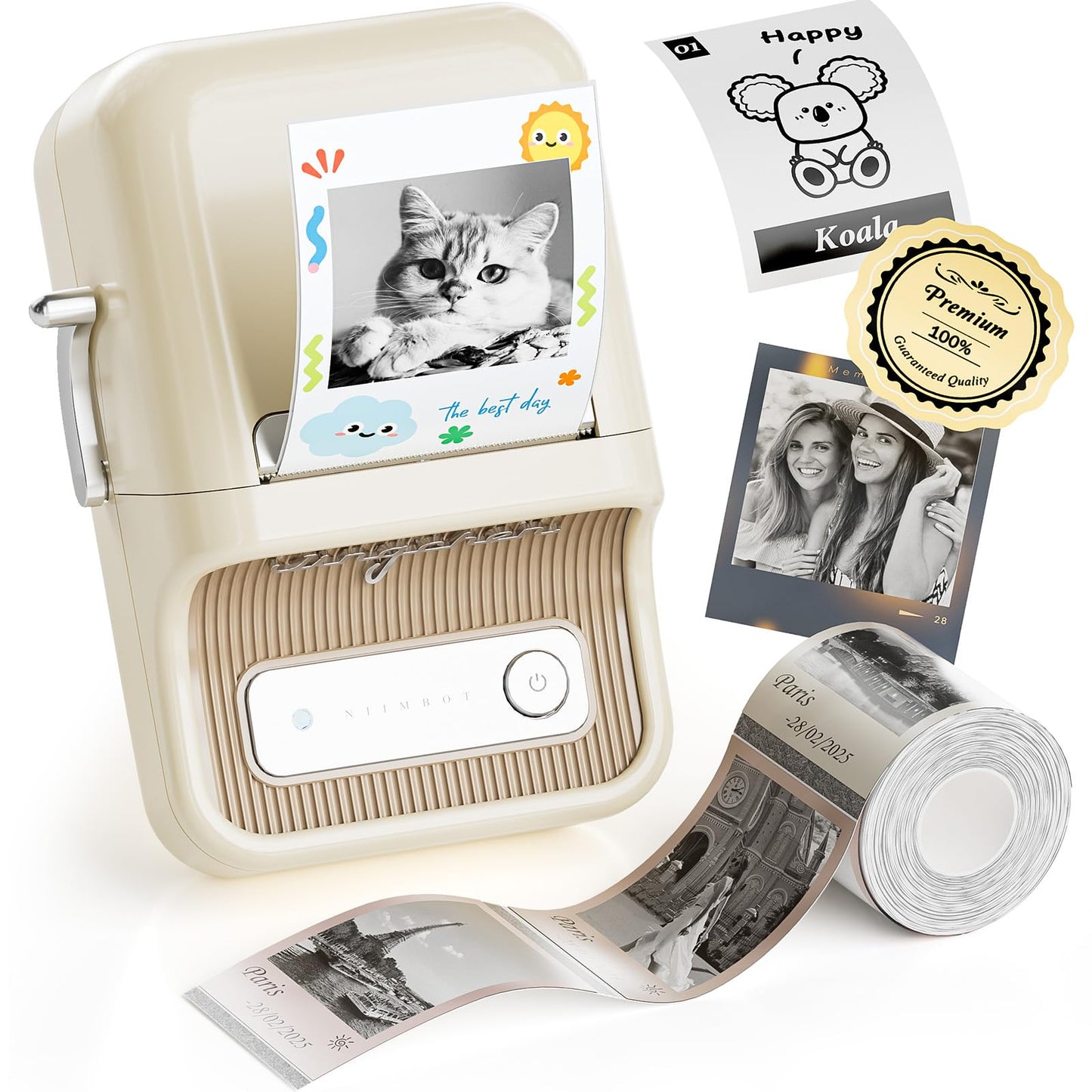 NIIMBOT B21 Pro Portable Label Printer 300DPI
