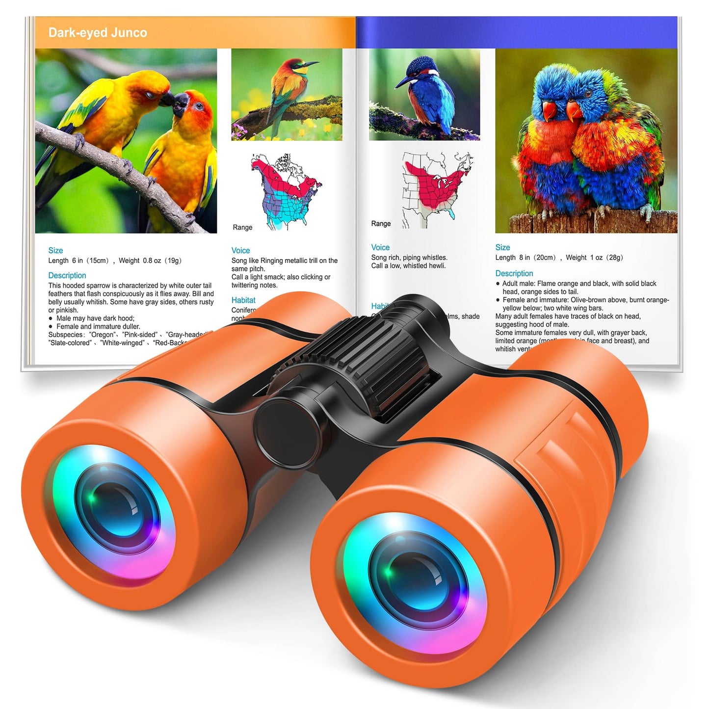 LET'S GO! 30mm Binoculars WJ12566 4x Fixed Focus Roof Prism for Kids